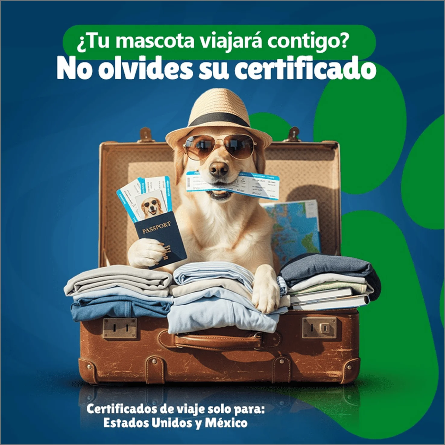 Clínica Veterinaria La Muda - Consejos