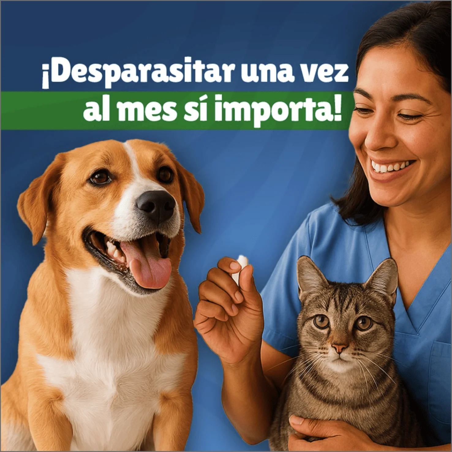 Clínica Veterinaria La Muda - Consejos